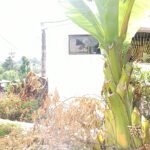 IMG_20260331_160401_4